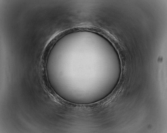 X0000100861400200806200826