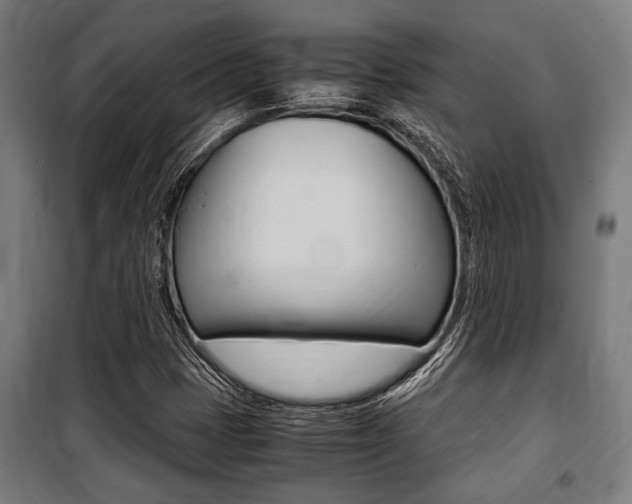 X0000100861401200806200826