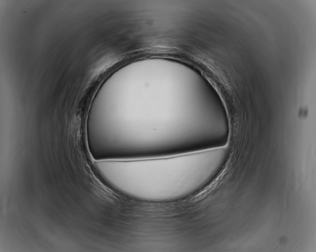 X0000100861402200806200826