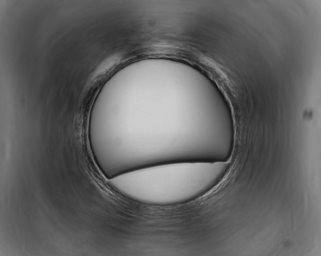 X0000100861403200806200826