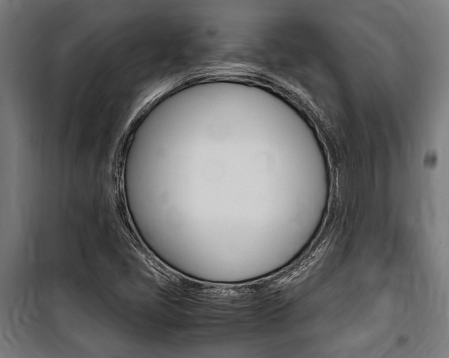 X0000100861405200806200826