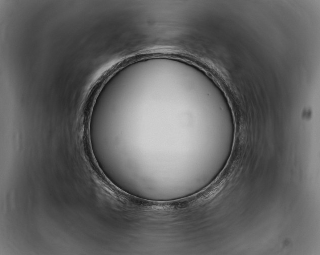X0000100861406200806200826