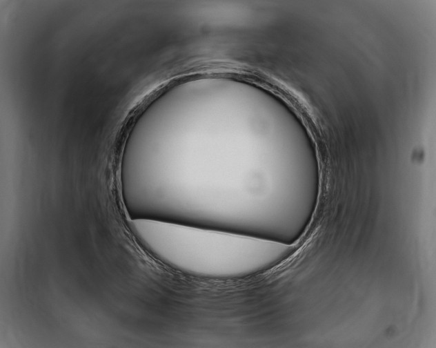 X0000100861407200806200826