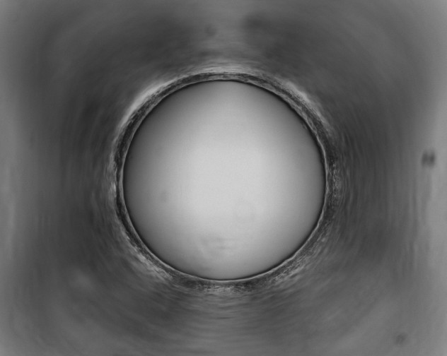 X0000100861408200806200826
