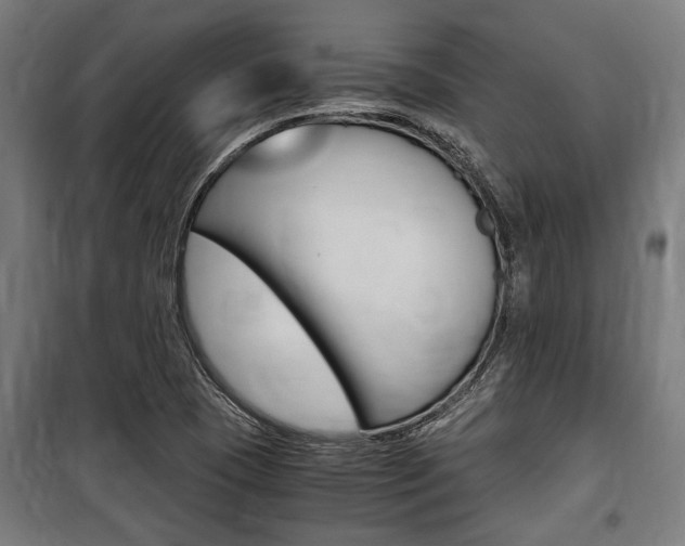 X0000100861409200806200826