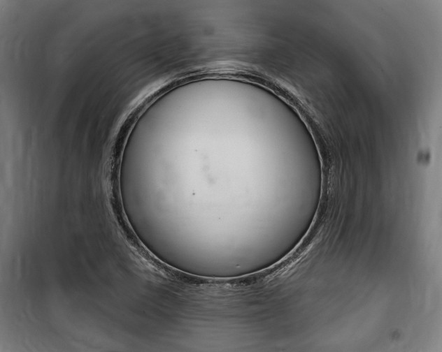 X0000100861410200806200826