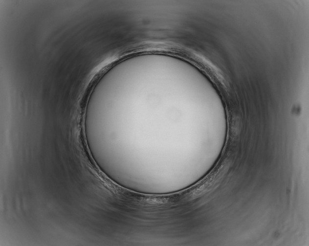 X0000100861411200806200826
