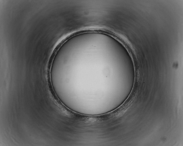 X0000100861412200806200826
