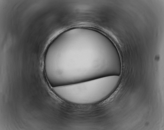 X0000100861413200806200826
