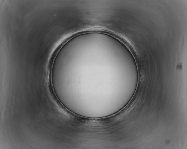 X0000100861414200806200826