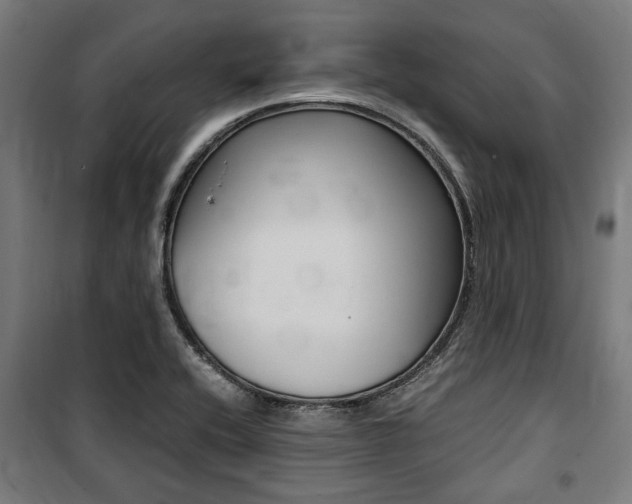 X0000100861416200806200826