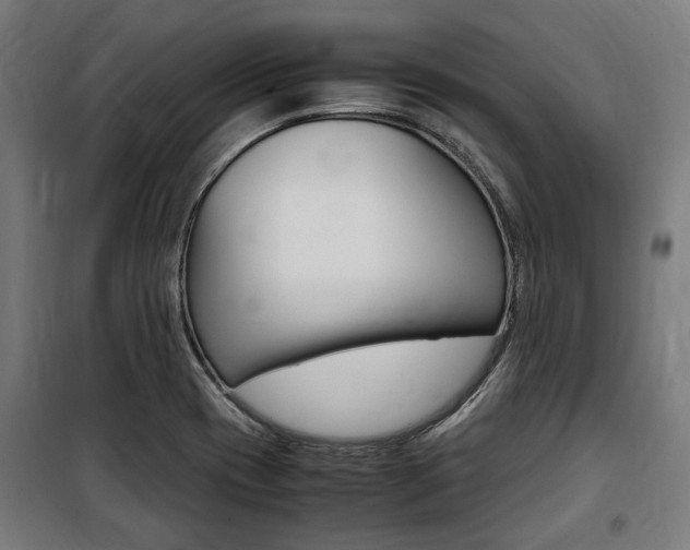 X0000100861417200806200826