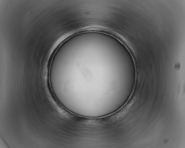 X0000100861418200806200827