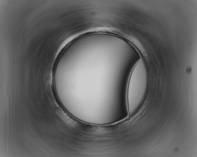 X0000100861420200806200827