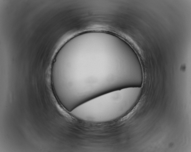 X0000100861421200806200827