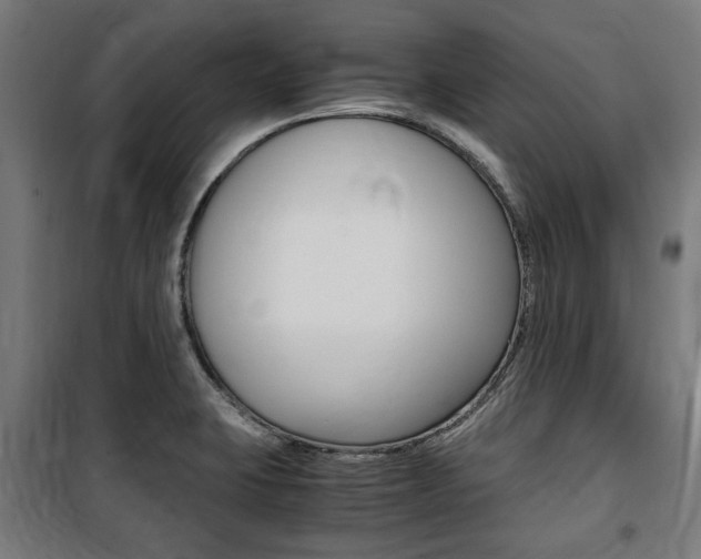 X0000100861423200806200827