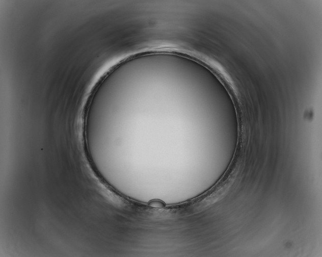 X0000100861424200806200827