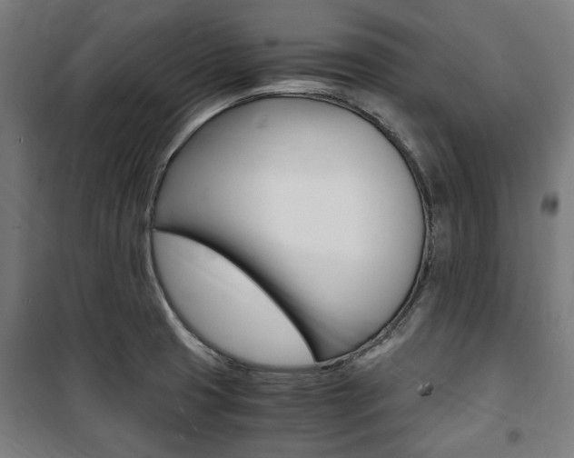 X0000100861425200806200827