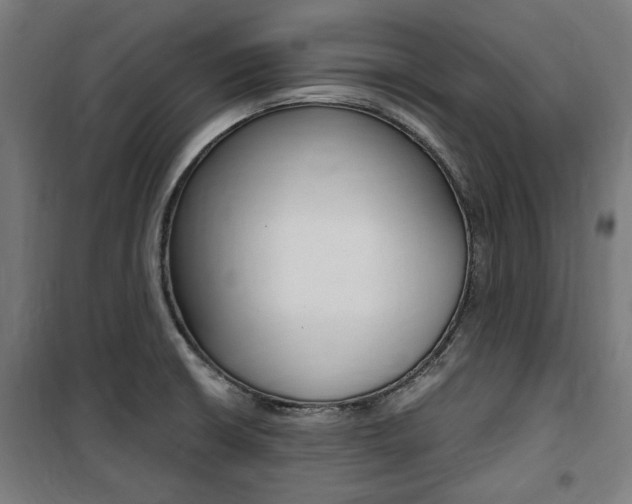 X0000100861426200806200827