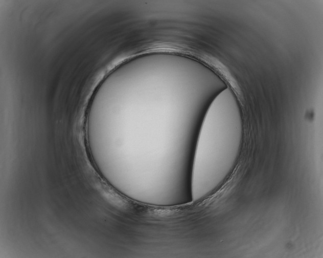 X0000100861427200806200827