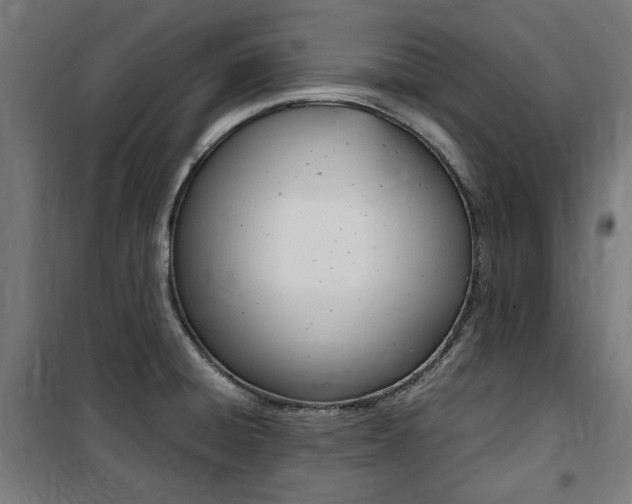 X0000100861428200806200827