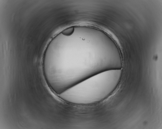 X0000100861429200806200827