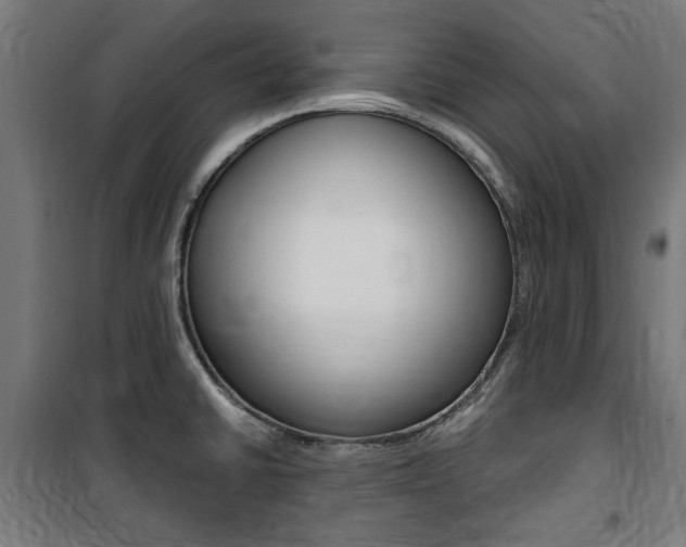 X0000100861430200806200827