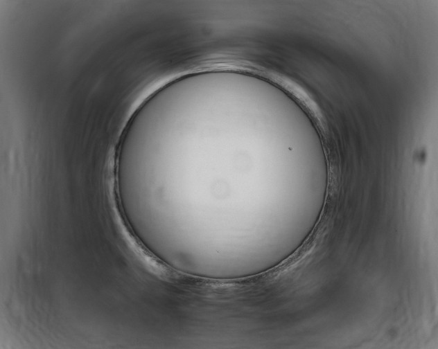 X0000100861431200806200827