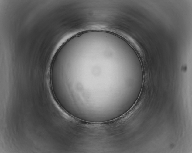 X0000100861432200806200827