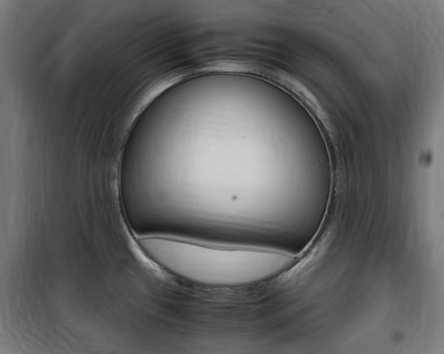 X0000100861433200806200827