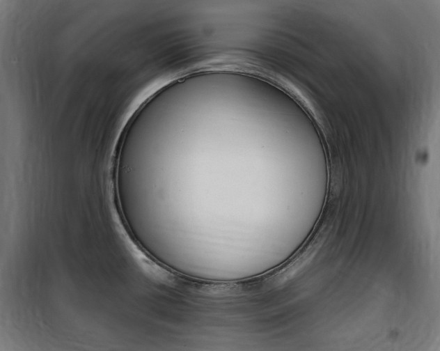X0000100861434200806200827