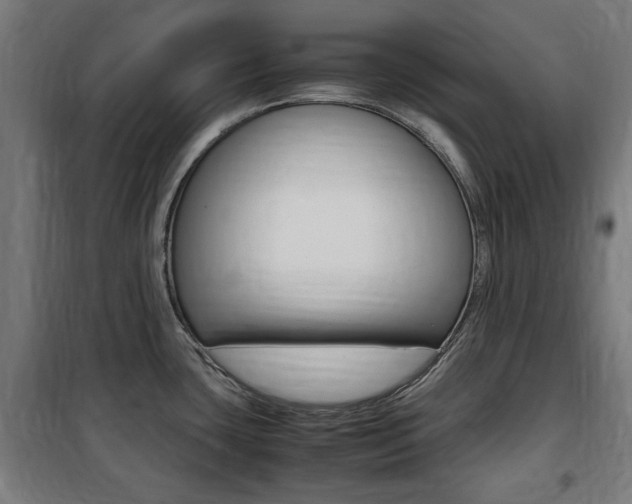 X0000100861435200806200827