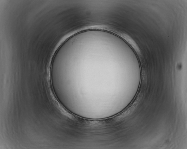 X0000100861436200806200827