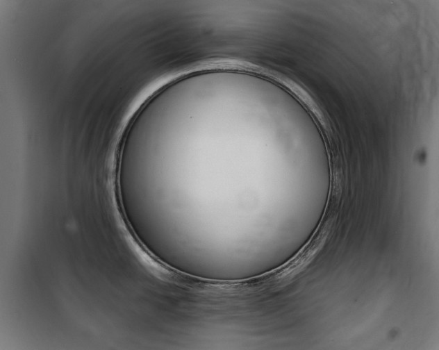 X0000100861438200806200827