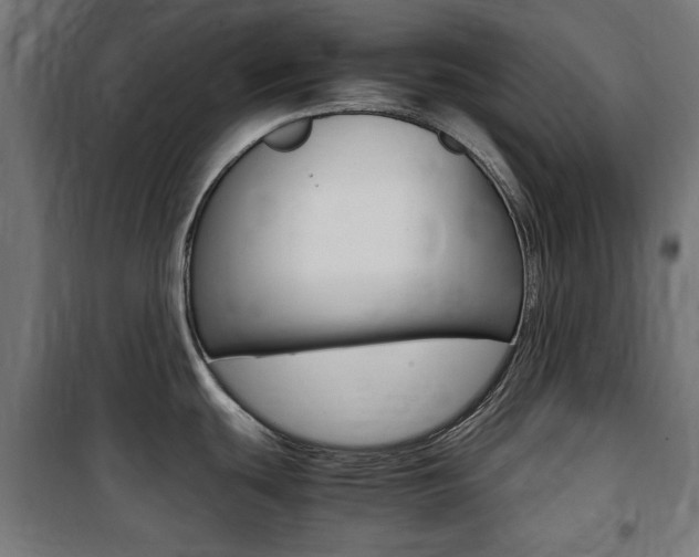 X0000100861439200806200827