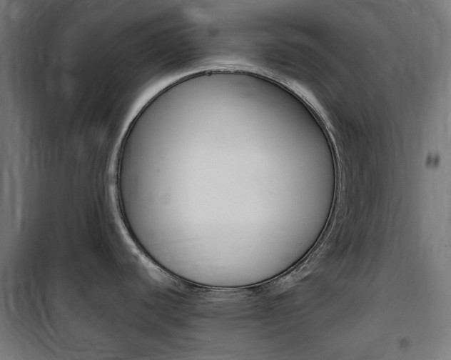 X0000100861440200806200827