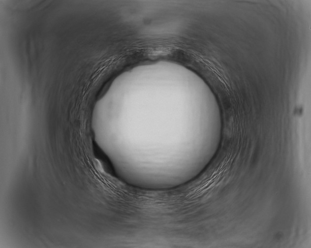 X0000100861441200806200826