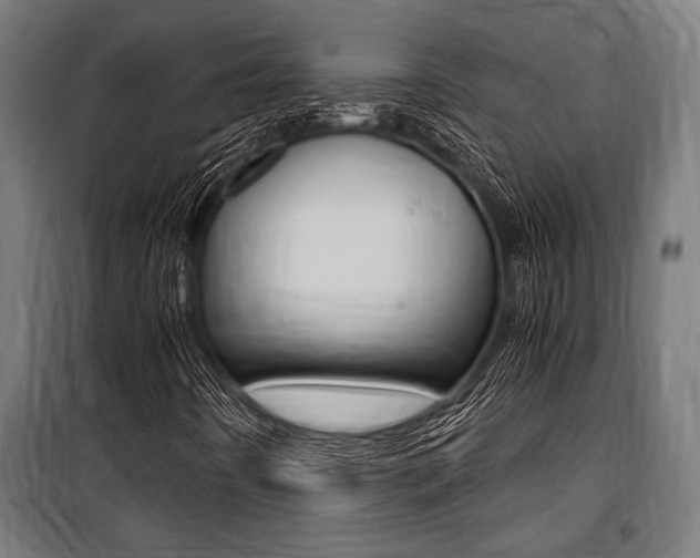X0000100861442200806200826