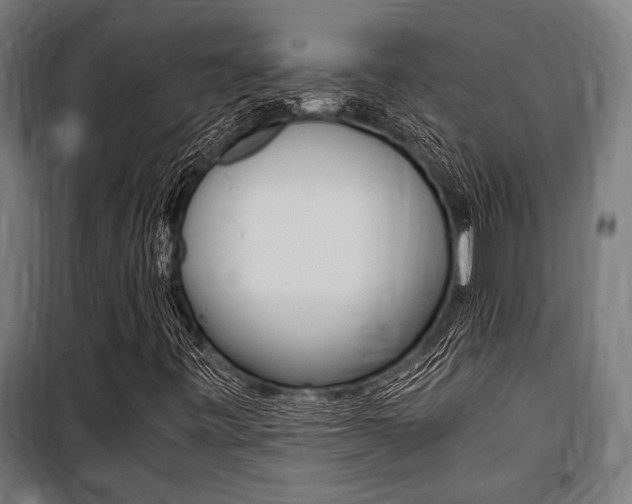 X0000100861443200806200826