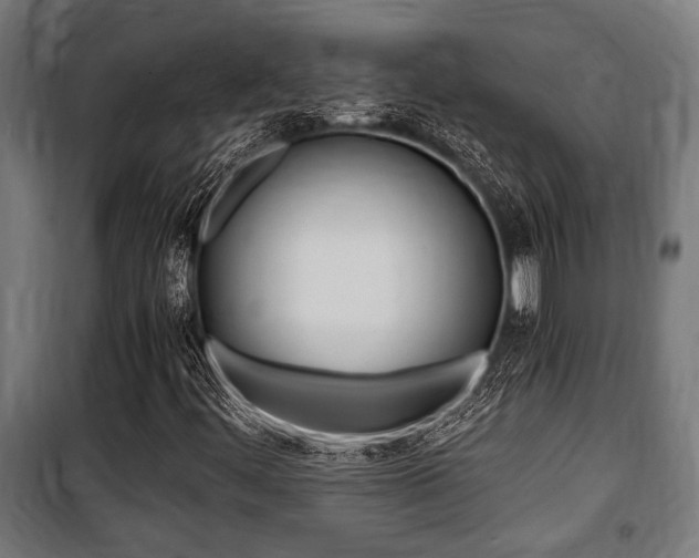 X0000100861444200806200826