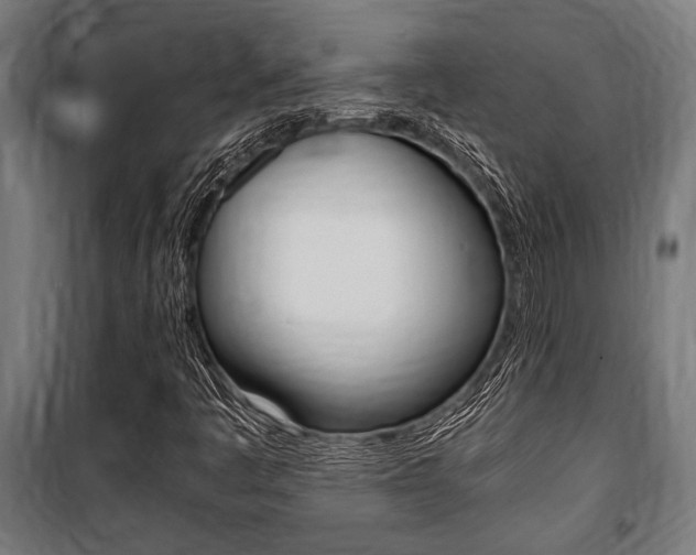 X0000100861445200806200826
