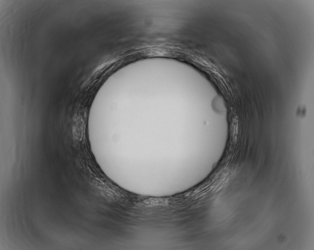 X0000100861446200806200826