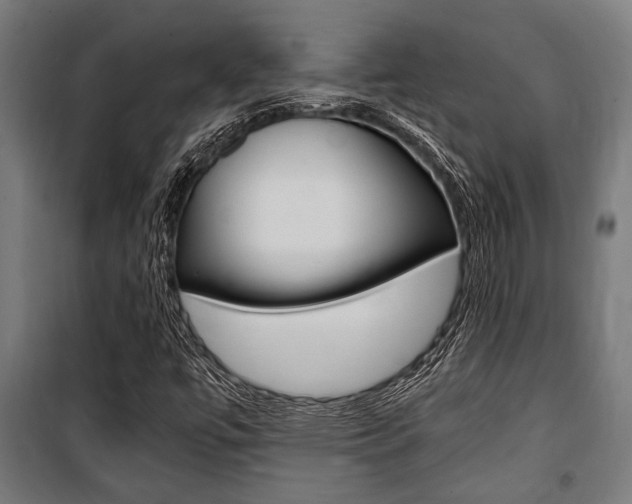 X0000100861447200806200826