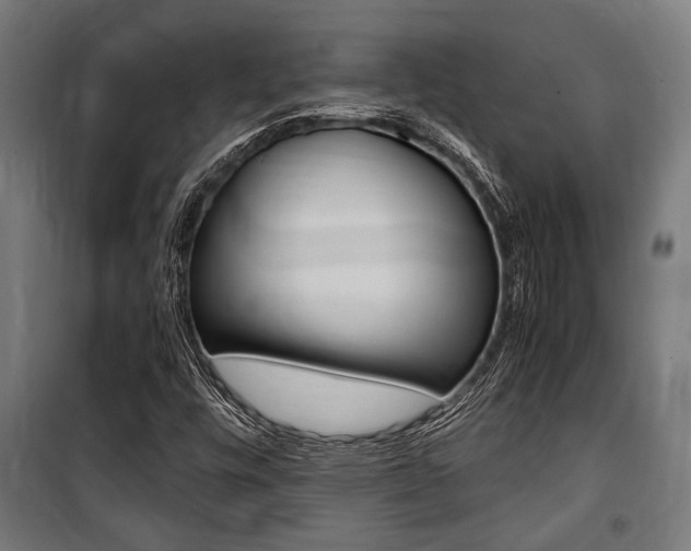 X0000100861448200806200826