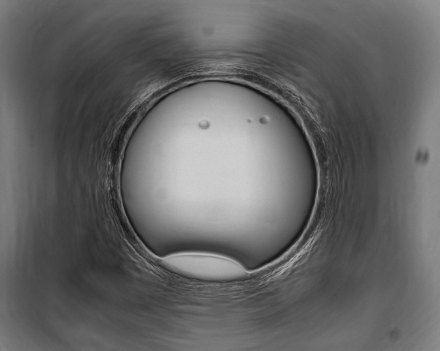 X0000100861449200806200826