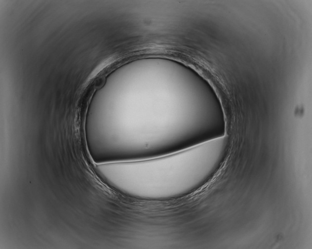 X0000100861450200806200826