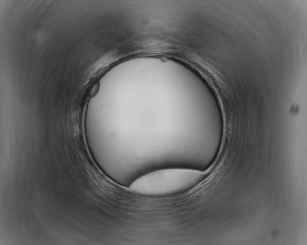 X0000100861451200806200826
