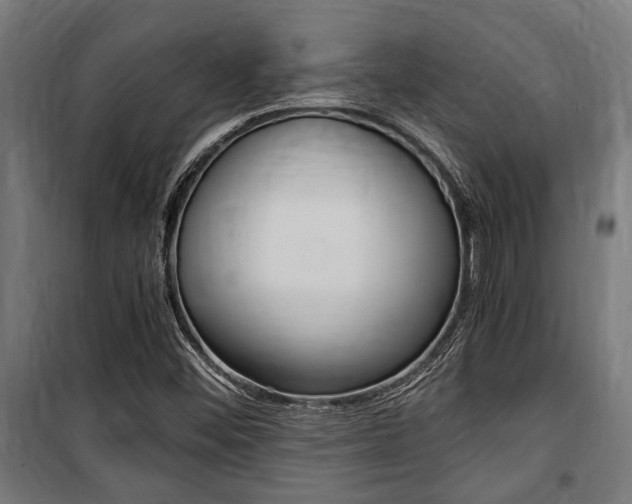 X0000100861452200806200826