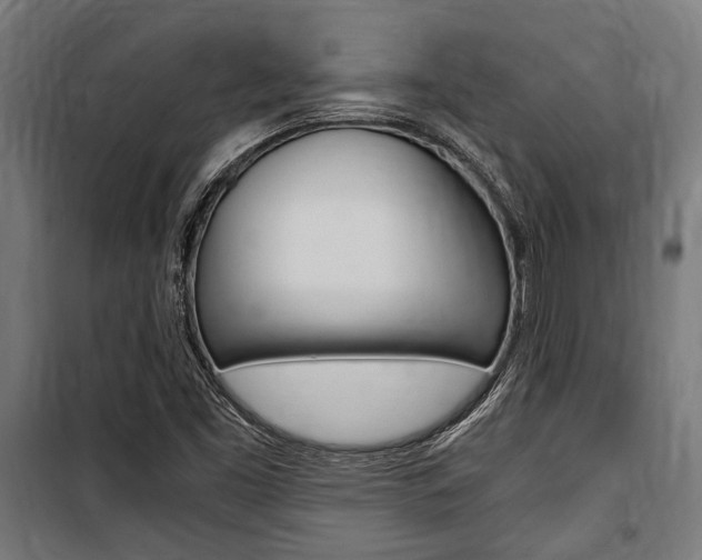 X0000100861453200806200826