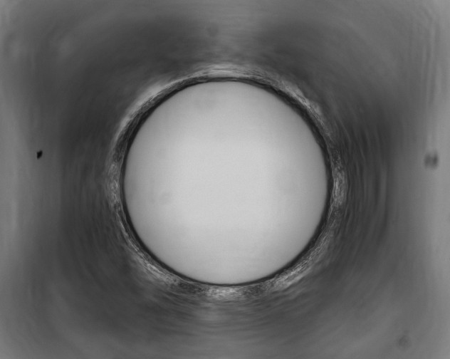 X0000100861454200806200826